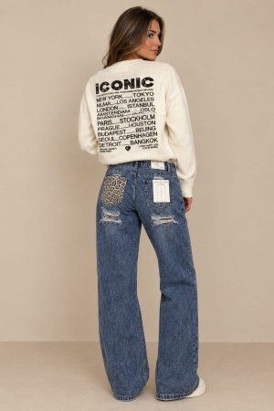 Trui iconic off White 
